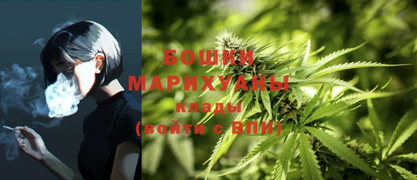 бошки Нягань