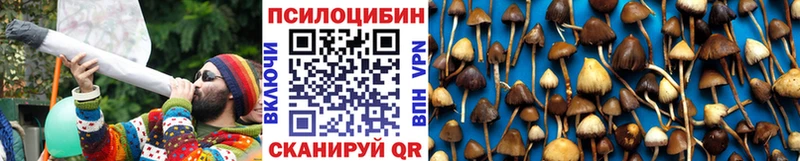 Псилоцибиновые грибы Psilocybine cubensis  купить   МЕГА как зайти  Новый Оскол 